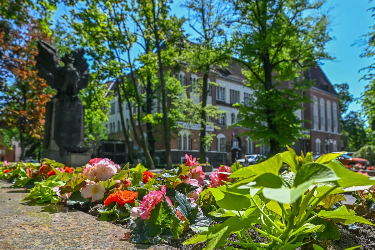 Letnie szaty Sopotu – miasto w rozkwicie